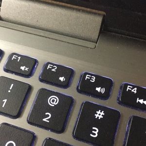 Meet your Posher, Ivy